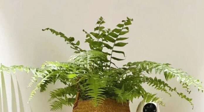 The 4 Things You Should Never Put Under Your Air Conditioner