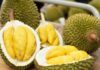 The Ultimate Guide to Peeling Durian: A Simple, Easy Technique to Keep Your Durian Fresh and Delicious