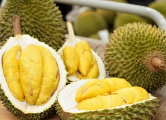 The Ultimate Guide to Peeling Durian: A Simple, Easy Technique to Keep Your Durian Fresh and Delicious