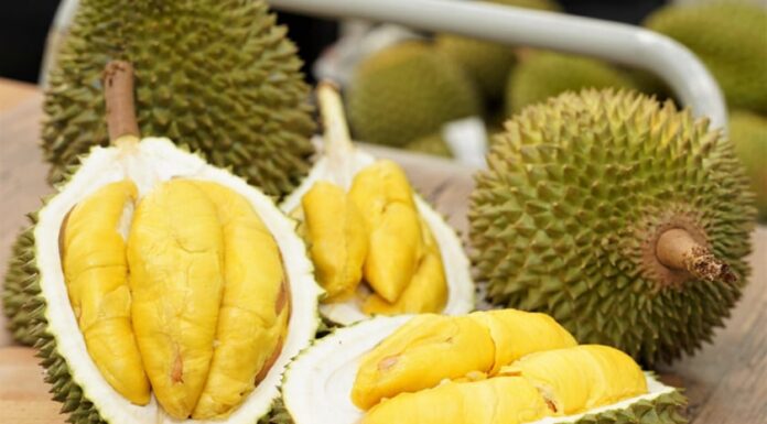 The Ultimate Guide to Peeling Durian: A Simple, Easy Technique to Keep Your Durian Fresh and Delicious