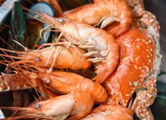 “The Ultimate Guide to Steaming Seafood: Master Chef’s Tips for Perfect Results”