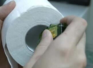 The Magic of Three: A Revolutionary Approach to Health and Wellness