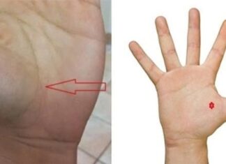 The Ancient’s Wisdom: “The Pauper’s Plight: A Life of Misery, Little Fortune, and Great Misfortune. These Four Signs on One’s Palm Indicate a Life of Struggles.”