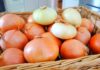 The Fastest Way to Keep Onions Fresh: A Tasty Trick to Try at Home