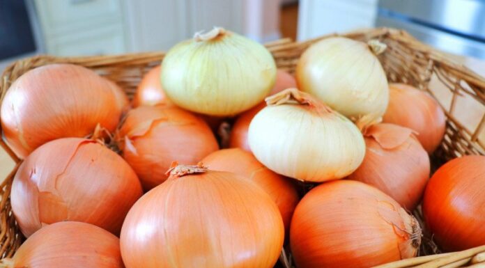 The Fastest Way to Keep Onions Fresh: A Tasty Trick to Try at Home