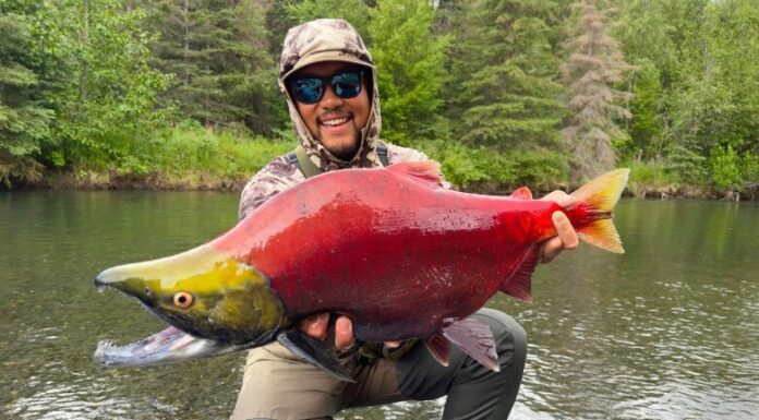 The Ultimate Guide to the 5 Most Exclusive Salmon Varieties: A Culinary Delight for the Privileged