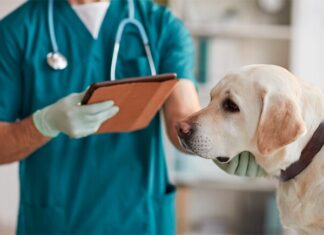 The Top 5 Underrated Degrees: Easy Job Hunt, Great Prospects, and Attractive Salaries