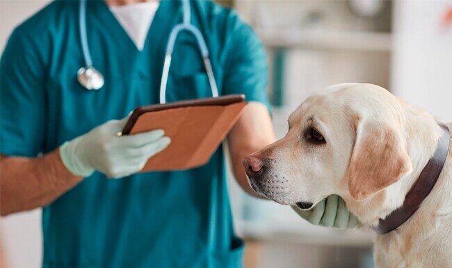 The Top 5 Underrated Degrees: Easy Job Hunt, Great Prospects, and Attractive Salaries