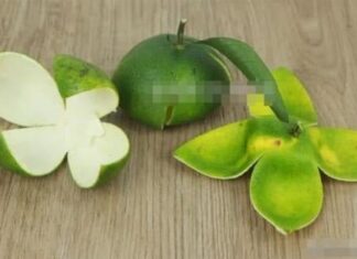 Step Into a Car and Feel the Nausea: 2 Simple Ways to Stay Alert and Beat Motion Sickness