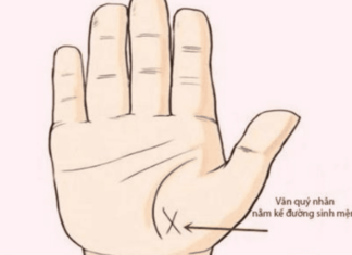 The Secret to Wealth and Success: The 3 Common Traits of the Rich and How You Can Achieve Them Too.