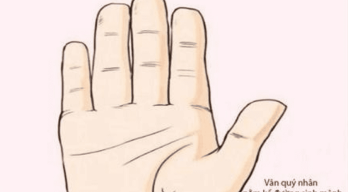 The Secret to Wealth and Success: The 3 Common Traits of the Rich and How You Can Achieve Them Too.