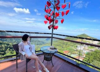 The Ultimate Guide to Tam Dao’s 6 Most Instagram-worthy Homestays: So Charming, You’ll Never Want to Leave