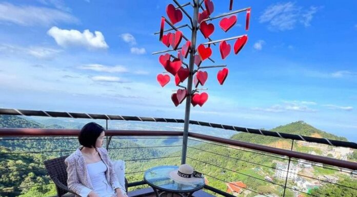 The Ultimate Guide to Tam Dao’s 6 Most Instagram-worthy Homestays: So Charming, You’ll Never Want to Leave