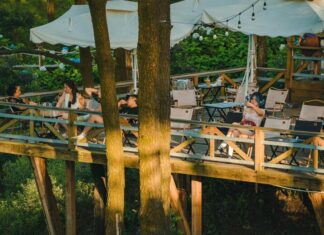 The Ultimate Guide to the Top 6 Chill Cafes in Quang Ninh: A “Poet’s Haven” for the Ultimate “Insta-Worthy” Experience