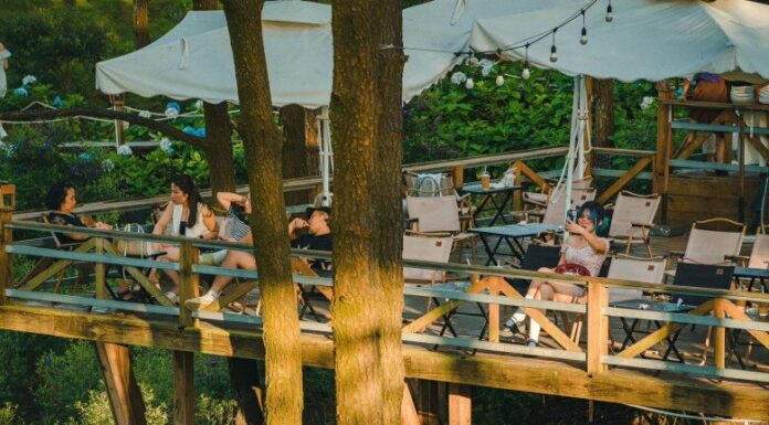 The Ultimate Guide to the Top 6 Chill Cafes in Quang Ninh: A “Poet’s Haven” for the Ultimate “Insta-Worthy” Experience