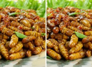 “Tantalize Your Taste Buds: Indulge in Crispy Silkworm Pupae With a Spicy Kick”