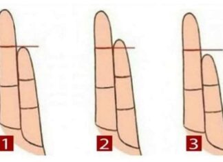 The Art of Palmistry: Unveiling the Secrets of Your Destiny Through Finger Length