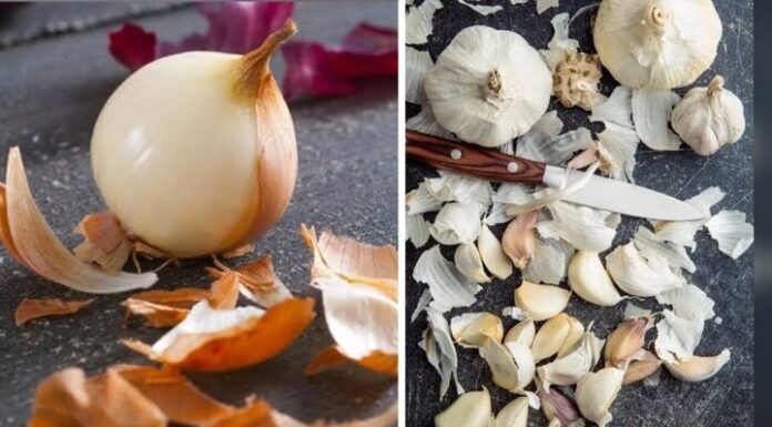 The Power of Onion and Garlic Skins: 4 Reasons to Treasure Them Like Gold
