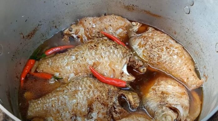 “A Delicious and Savory Take on Braised Silver Shark in Coconut Juice”