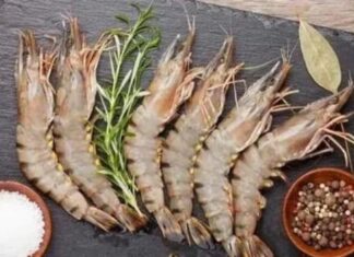 The Secret to Keeping Shrimp Fresh for Up to Six Months: Don’t Refrigerate, Try This Instead