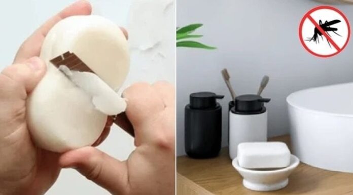 The Magic of Soap: Unveiling the Ancient Practice of Corner-Cutting