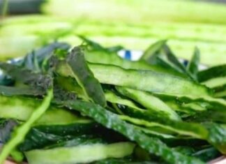 The Surprising Health Benefits of Cucumber: 7 Reasons to Embrace this Wonder Veggie