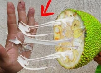 The Ultimate Hack to Remove Sticky Sap from Your Hands After Enjoying a Delicious Mangosteen