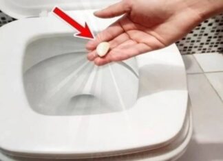 The Magic of a Clove of Garlic: Unlocking the Power in Your Toilet