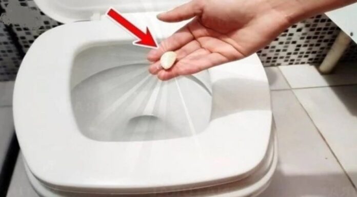 The Magic of a Clove of Garlic: Unlocking the Power in Your Toilet