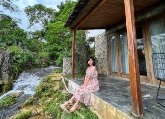The Ultimate Guide to Crispy, Perfectly Fried Spring Rolls: A Master Class by a Skilled 80s Chef