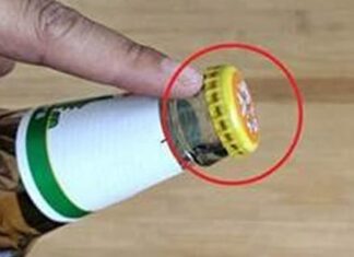 The Beer Bottle’s Secret: A Simple Hack to Open with Ease.