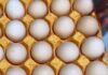“The Great Egg Debate: Unraveling the Mystery of Red and White Shells”