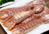 The Secret to Cooking Fresh and Tasty Shrimp: A Magic Ingredient to Remove the Fishy Odor