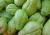 Is Chayote Safe for Pregnant Women?