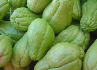 Is Chayote Safe for Pregnant Women?