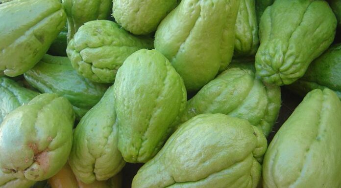 Is Chayote Safe for Pregnant Women?