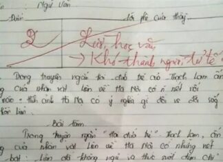 The Student-Teacher Conundrum: When a Graded Essay Goes Viral and Incites Online Fury.