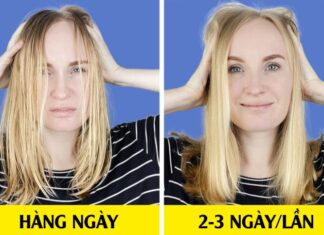 The Daily Wash: A Hair Washing Dilemma – Does Daily Attention Pay Off?