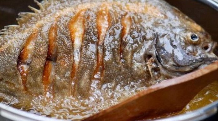 The Ultimate Guide to Healthy Fish Frying: Avoid Cancer with These Top Tips!
