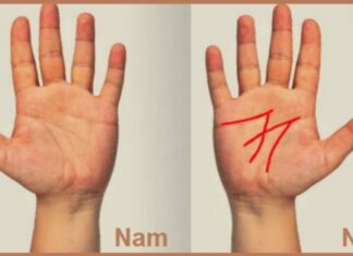 The Elite: The Exclusive Lifeline Palmistry Marking of Wealth and Prosperity