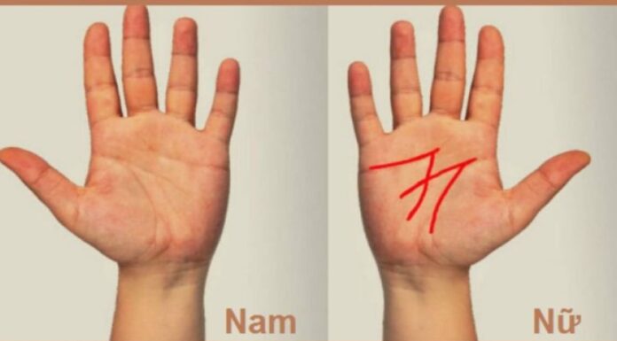 The Elite: The Exclusive Lifeline Palmistry Marking of Wealth and Prosperity