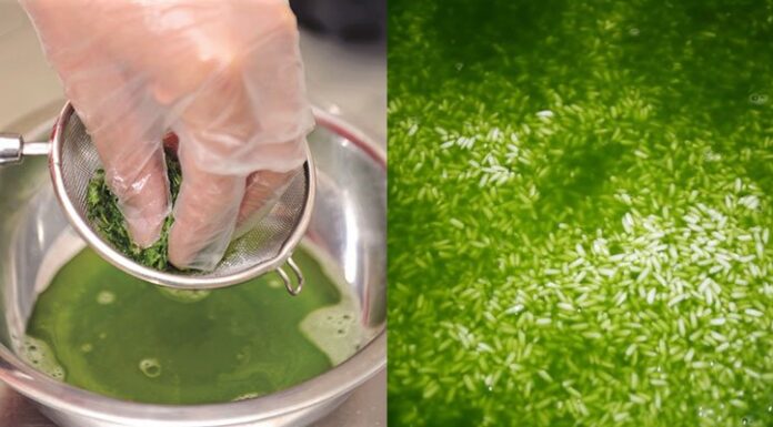 The Ultimate Guide to Cooking Delicious Banh Chung: A Speedy and Tasty Twist on a Classic