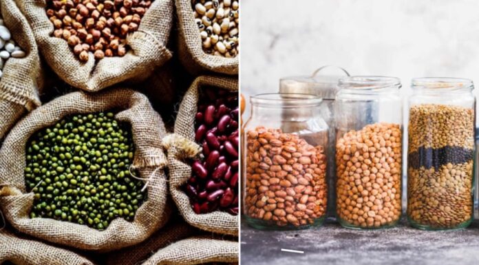 The Ultimate Guide to Storing Beans and Nuts: Keep Them Fresh and Pest-Free for a Year