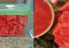 “How to Store Cut Watermelon to Keep it Fresh for Longer”