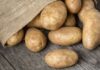 The Secret to Keeping Potatoes Fresh for Over 6 Months: No Sprouts or Green Hue