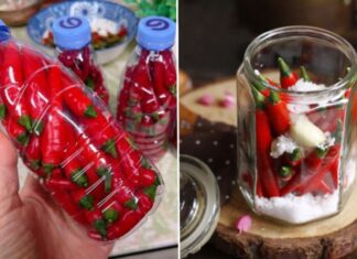 Two Tips to Keep Chillies Fresh for Longer: A Year-Round Storage Guide