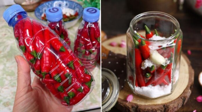 Two Tips to Keep Chillies Fresh for Longer: A Year-Round Storage Guide
