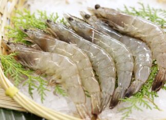 The Ultimate Guide to Storing Fresh Shrimp: Discover the Secret to Locking in That Just-Caught Taste and Nutrition