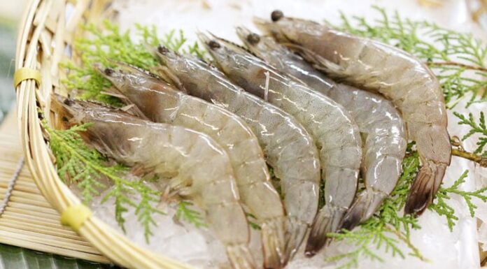 The Ultimate Guide to Storing Fresh Shrimp: Discover the Secret to Locking in That Just-Caught Taste and Nutrition
