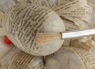 The Ultimate Guide to Egg Storage: Keep Your Eggs Fresh and Tasty for Weeks